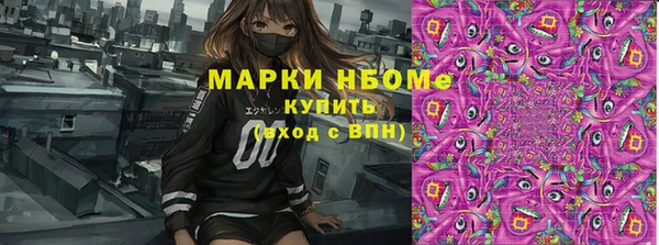 твердый Арсеньев