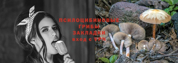 стафф Аркадак